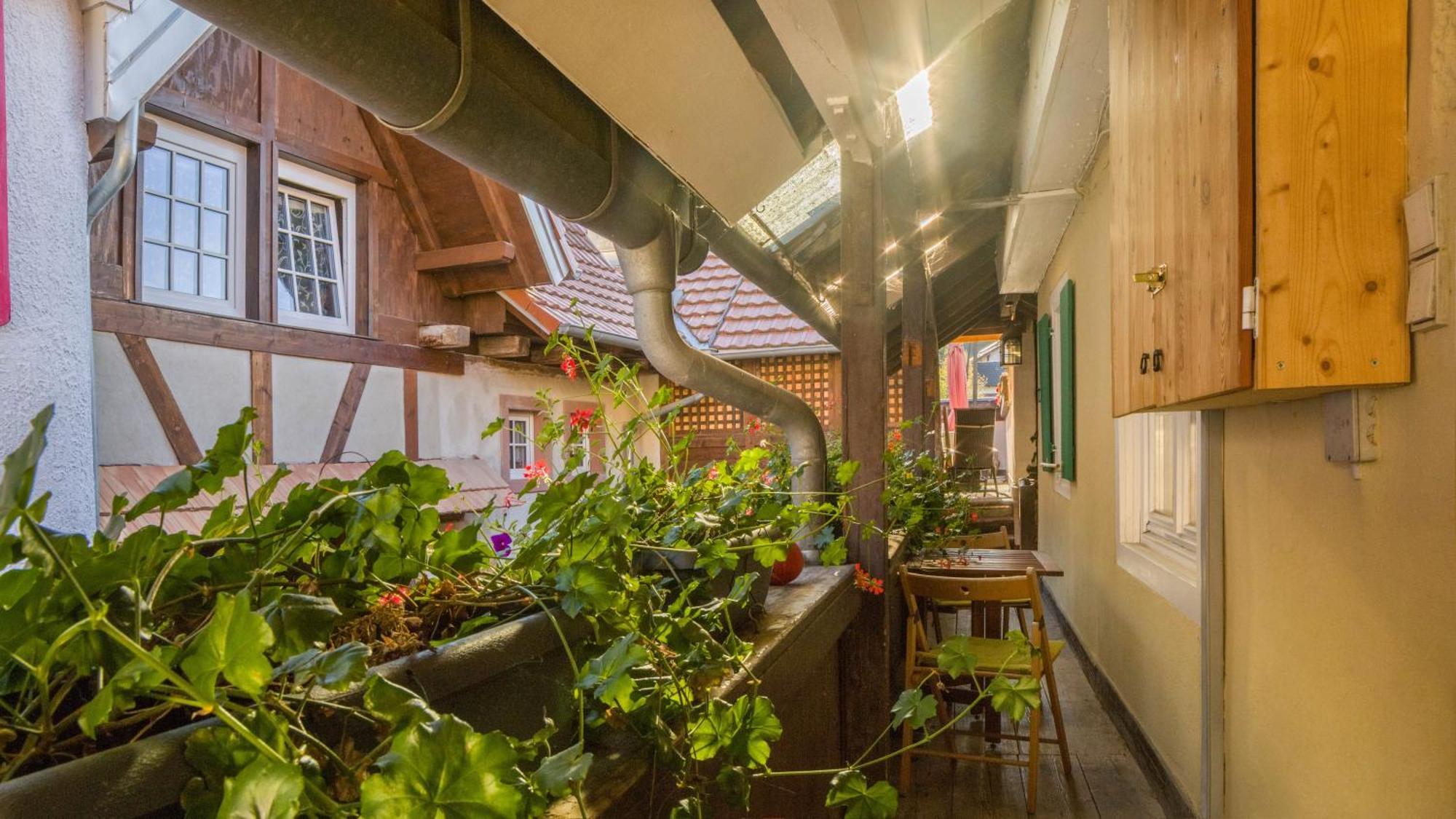 Ferienwohnungen Altes Rathaus Vogtsburg Exteriér fotografie